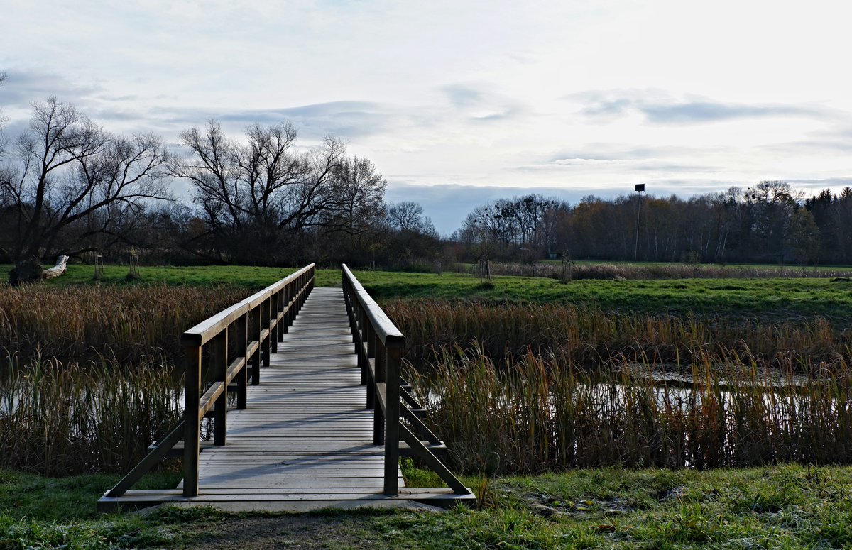 inkubatorr2's tweet photo. #cz #czechrepublic #biocentrum #kojetin #priroda #nature #vylet #trip #cestovani #travel #most #bridge #fujifilm #fujifilmxa3 #fujifilmcz #klid #peace https://t.co/QfVvT8BiNt