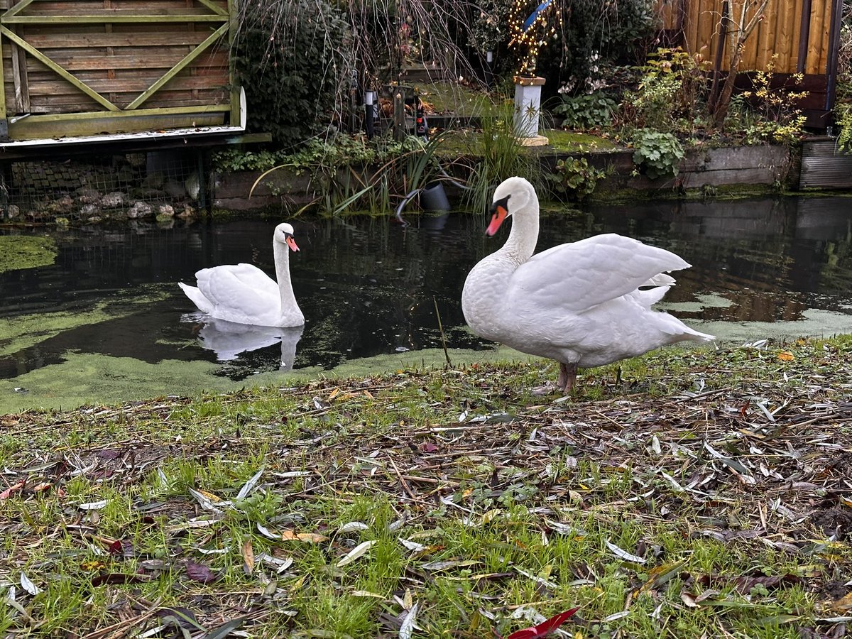 Jan Maaskant tweet media