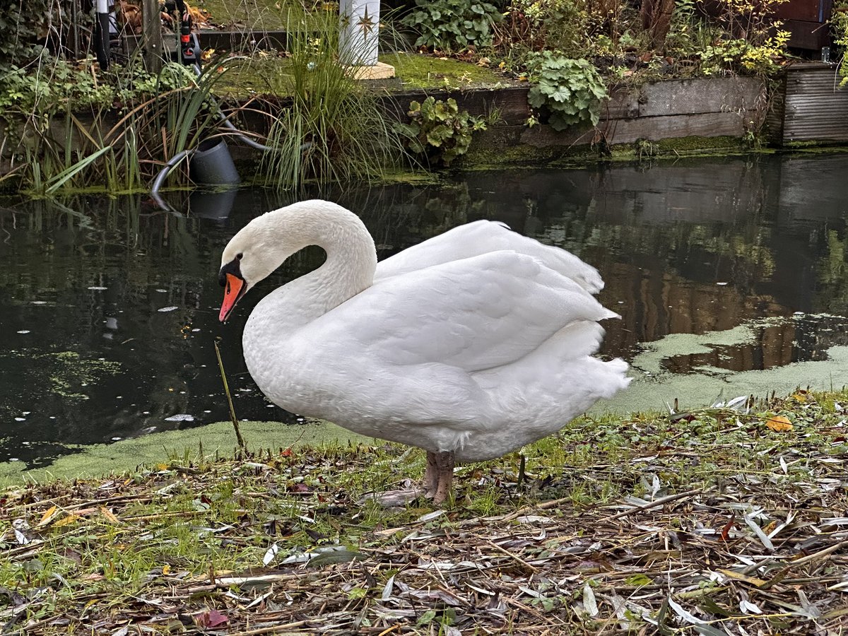 Jan Maaskant tweet media