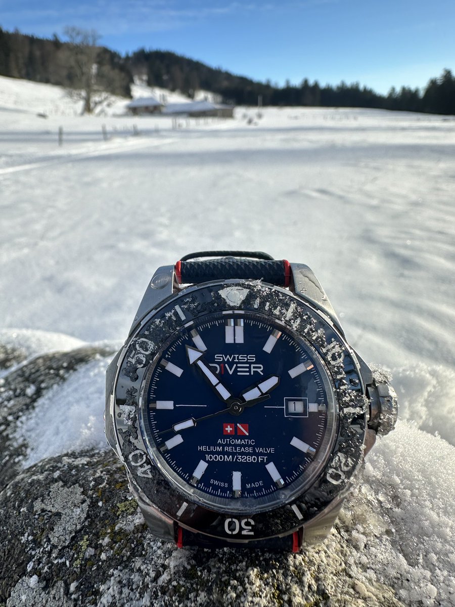 Swiss D1VER Watch tweet media