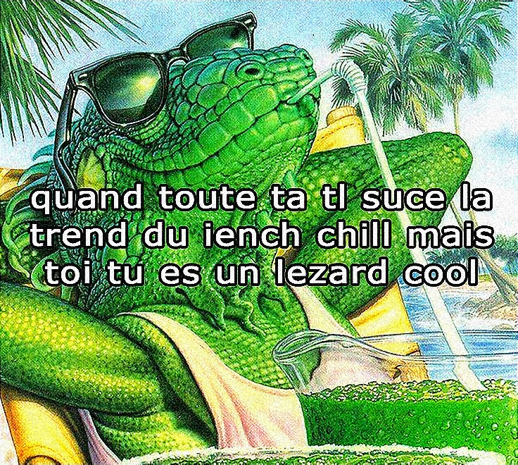 shacofou tweet media