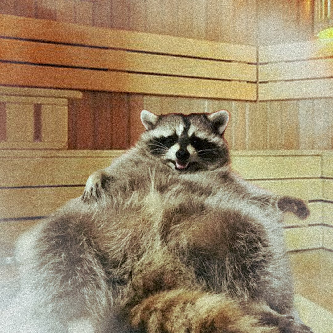 $FRED (CTO) on Solana tweet media