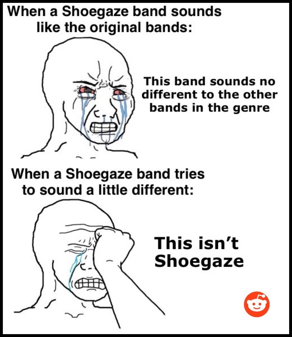 Shoegaze Memes tweet media