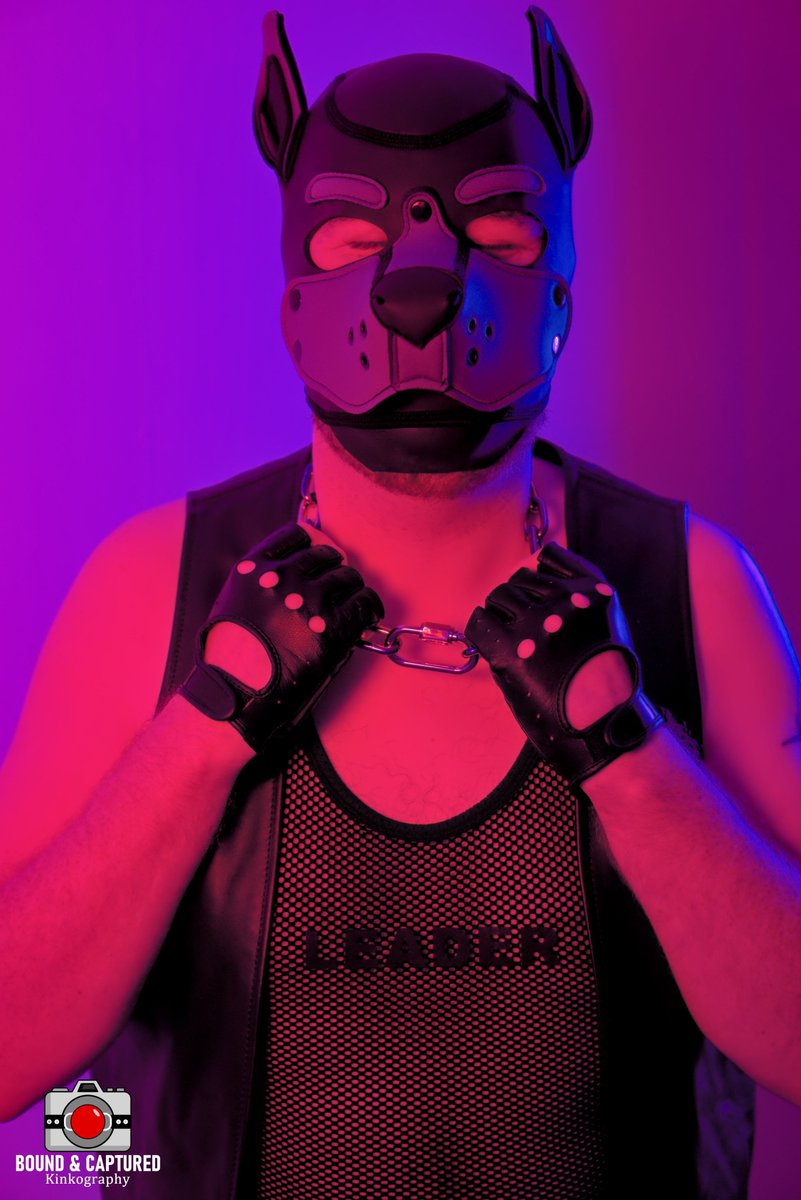 Interested in your own personal Kinky Photographer? Swing by #GAGGED to chat with <a href="/thatnovapup/">PupNova</a> who runs Bound &amp; Captured <a href="/BaC_Kinkography/">Bound & Captured Kinkography</a>. Some of Nova's images can be found below and our resident picture pup comes highly regarded! 

See you next Friday 7-10 pm at Boombox Belfast