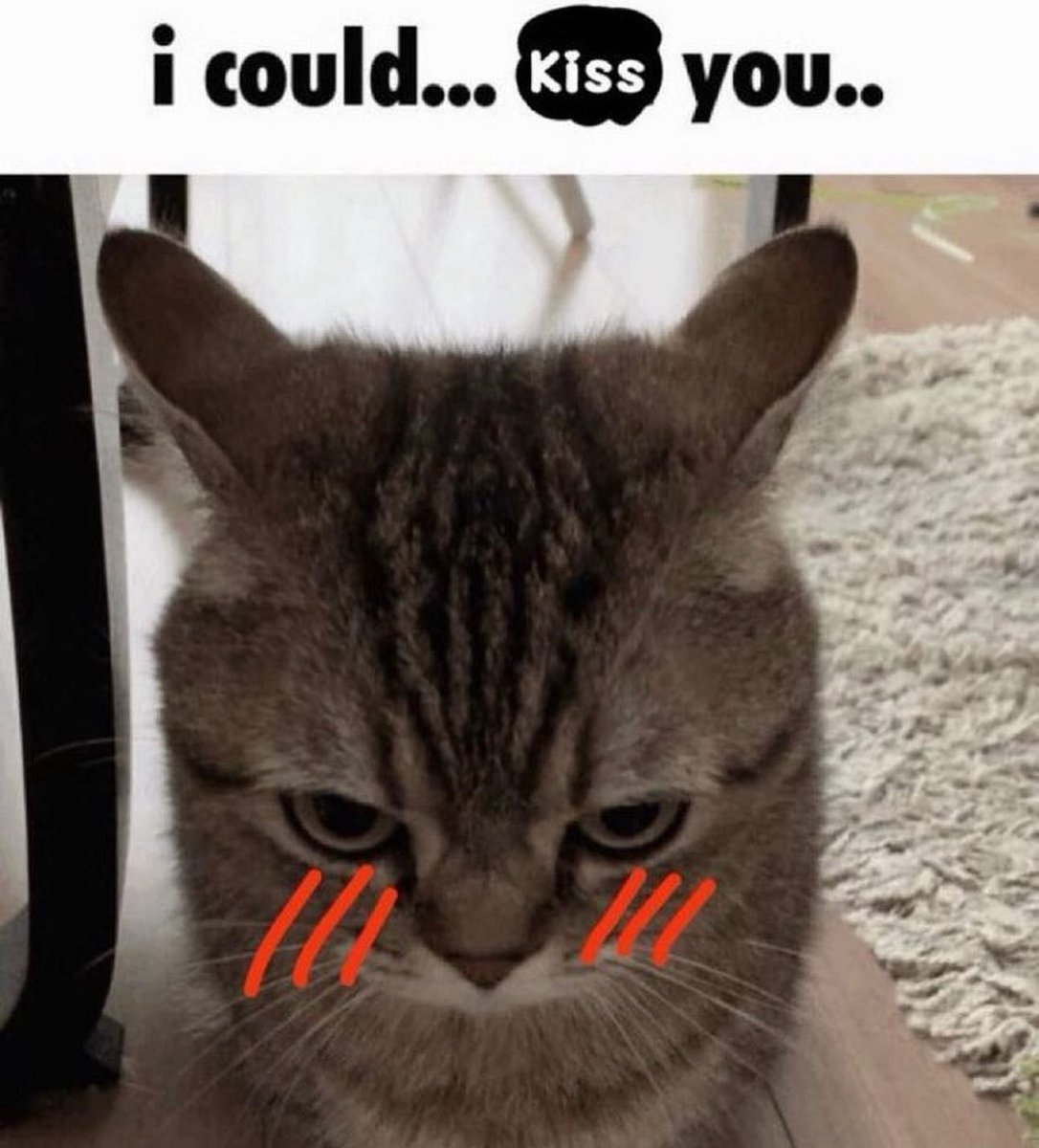 hourly_shitpost's tweet photo. https://t.co/wbnDtN2hik