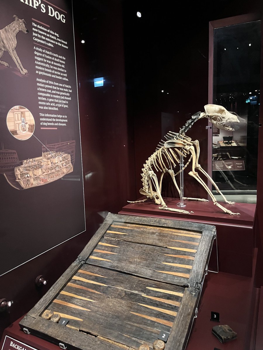 Gracie Price (@magnifyzoology) on Twitter photo #museum30 day 23 - Organic
Making it a goal in life to visit all of the famous uk museum mascots - I can already tick <a href="/HatchTheDog_MR/">Hatch the Tudor Dog š¶š¾</a> and <a href="/GlassJarOfMoles/">Glass Jar Of Moles</a> off the list! #museum30 day 23 - Organic
Making it a goal in life to visit all of the famous uk museum mascots - I can already tick <a href="/HatchTheDog_MR/">Hatch the Tudor Dog š¶š¾</a> and <a href="/GlassJarOfMoles/">Glass Jar Of Moles</a> off the list!