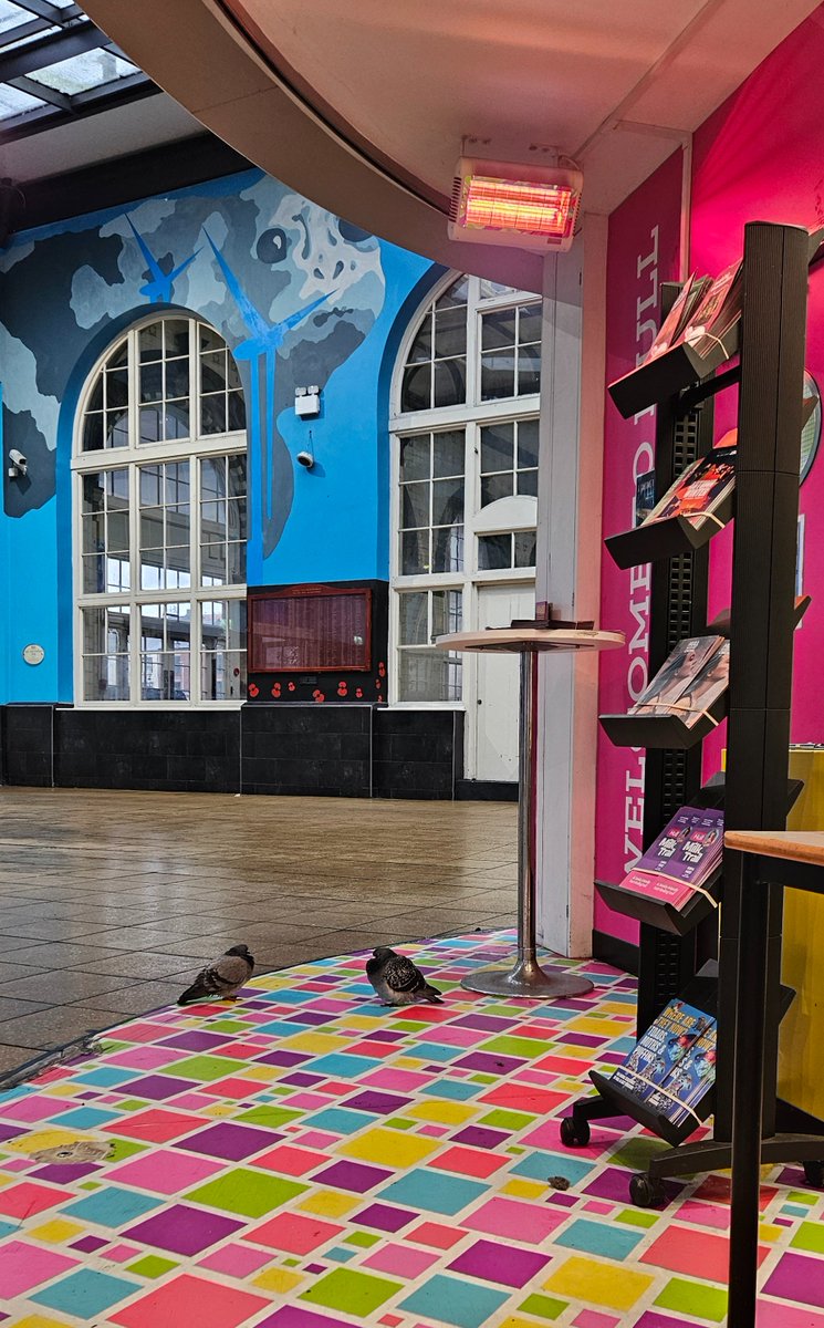 Sherlockbabe71's tweet photo. You know it's cold 🥶 when the pigeons come to join you volunteering 🙋‍♀️ 😆😆 @HeyVolunteering @hul https://t.co/MnQRioE0ZP