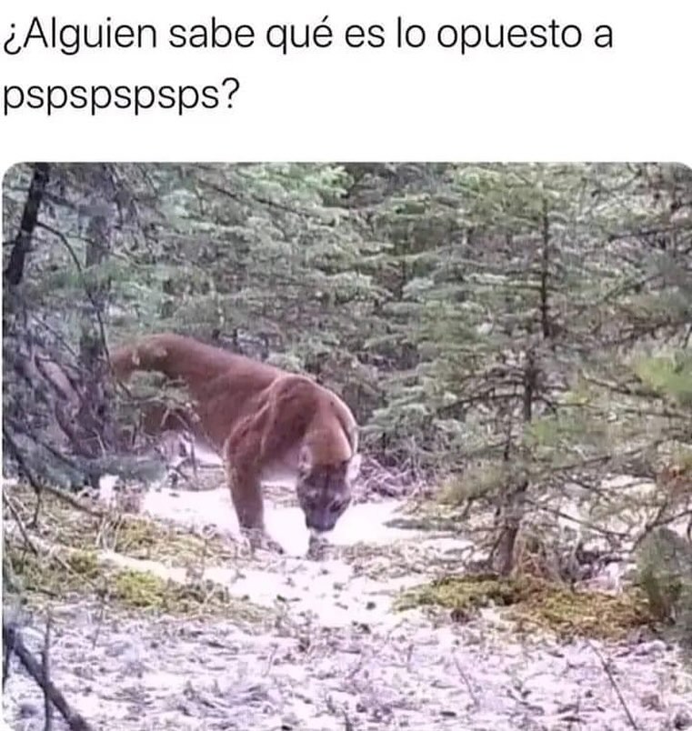 Enséñame de Ciencia tweet media
