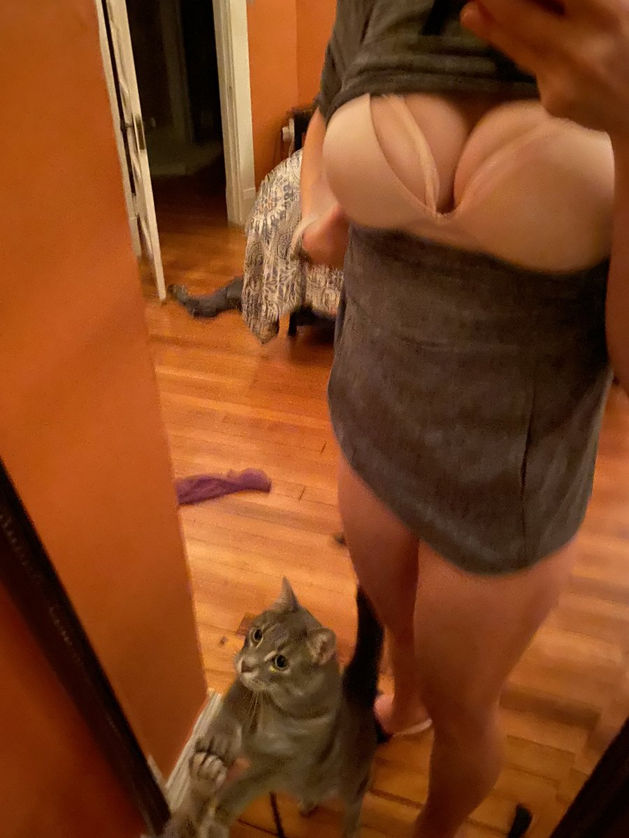 Pet Missi tweet media