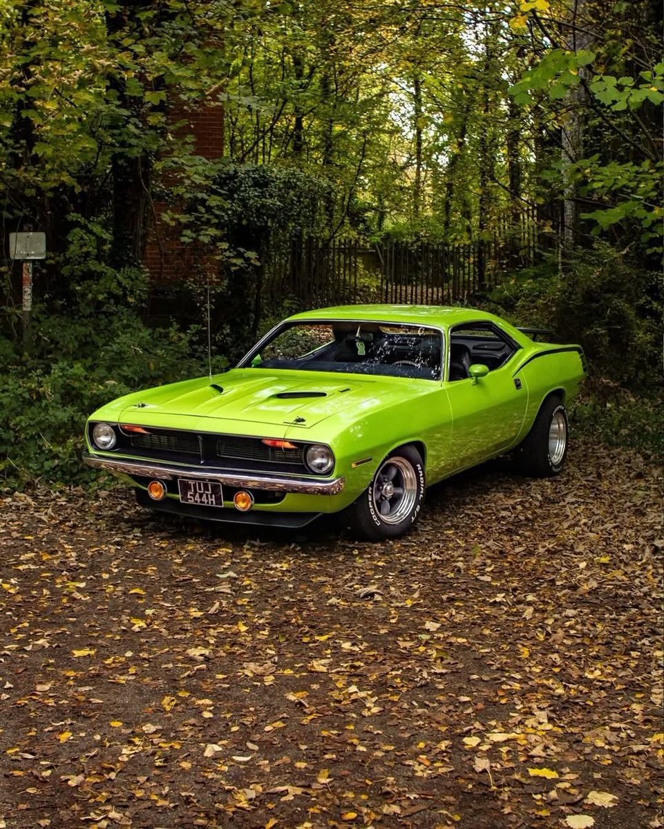 Mopar_Logic's tweet photo. Big block Cuda https://t.co/B1CzHXvWcV