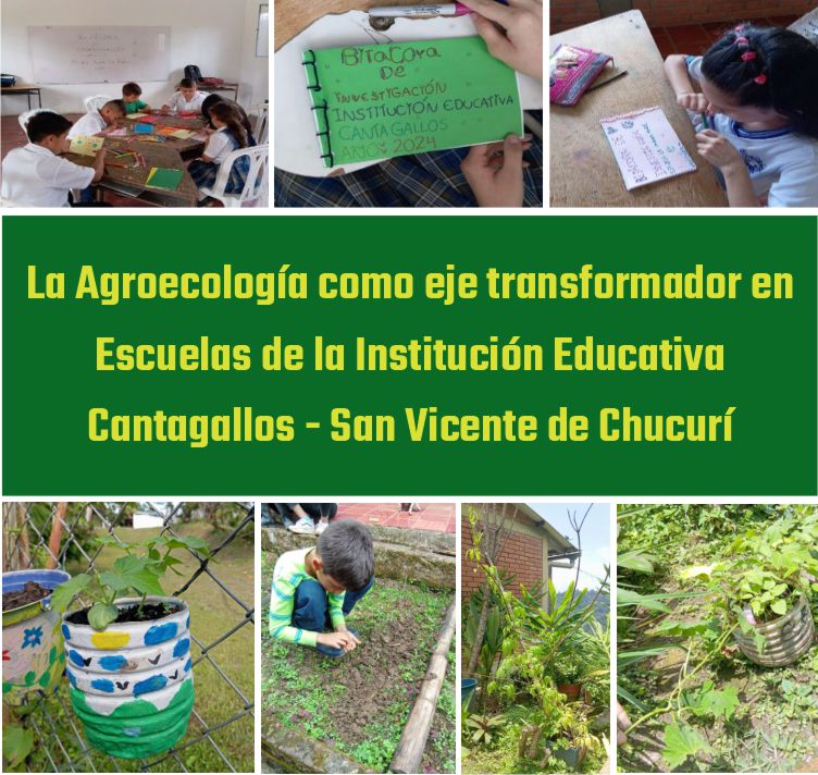 Exitosa experiencia pedagógica de agroecología en Escuelas de la Institución Educativa Cantagallos - San Vicente de Chucuri.
TODA LA INFORMACIÓN AQUÍ: corporacioncompromiso.org/es/linea-rural…