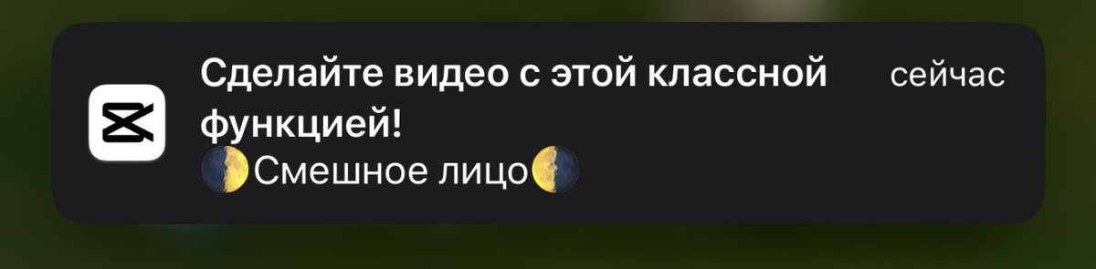 muskraaat_'s tweet photo. Сделала жизнь с этой классной функцией https://t.co/yi6l9kgfCL