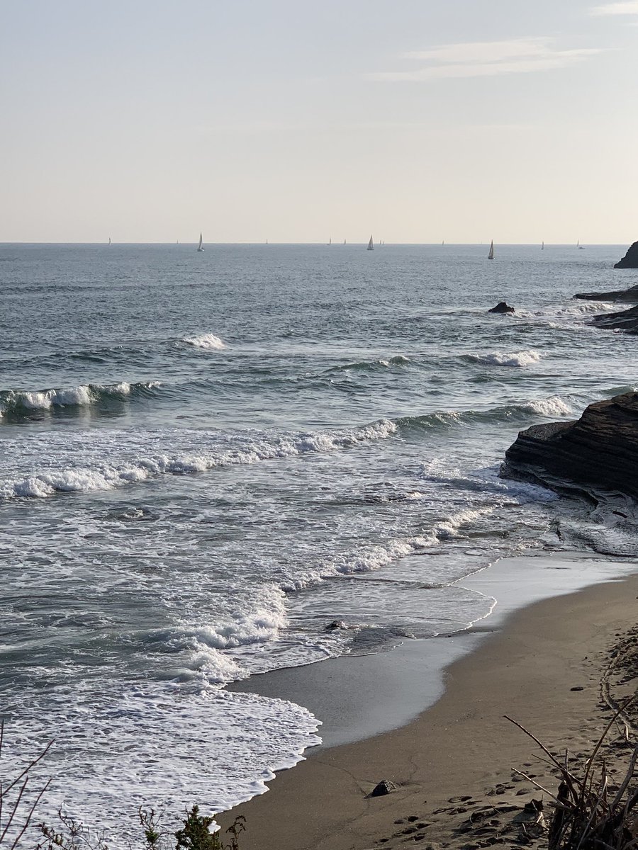 Pierre Nocca tweet media