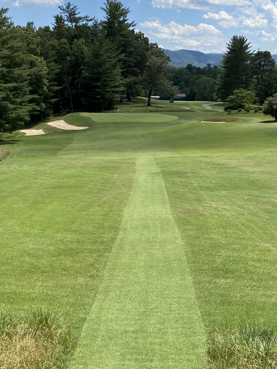 Design On Par tweet media