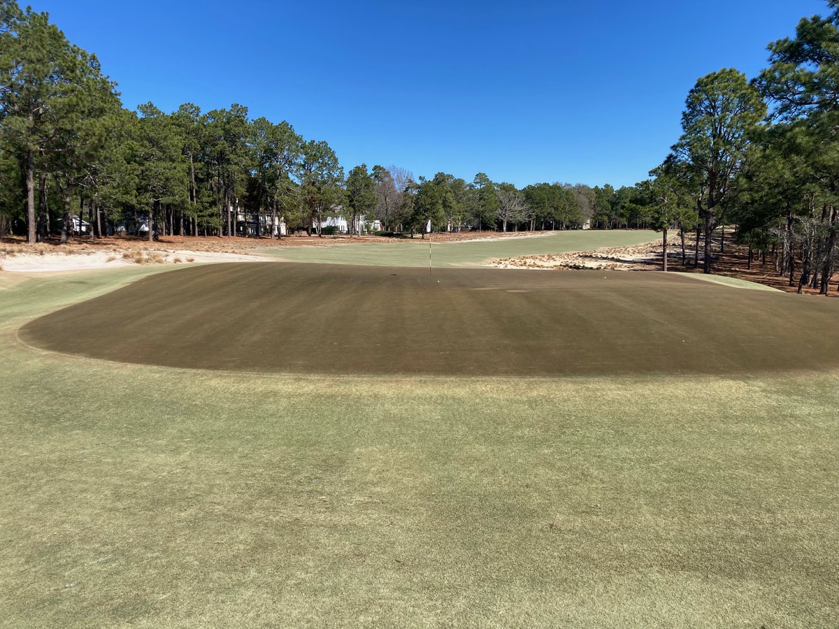 Design On Par tweet media