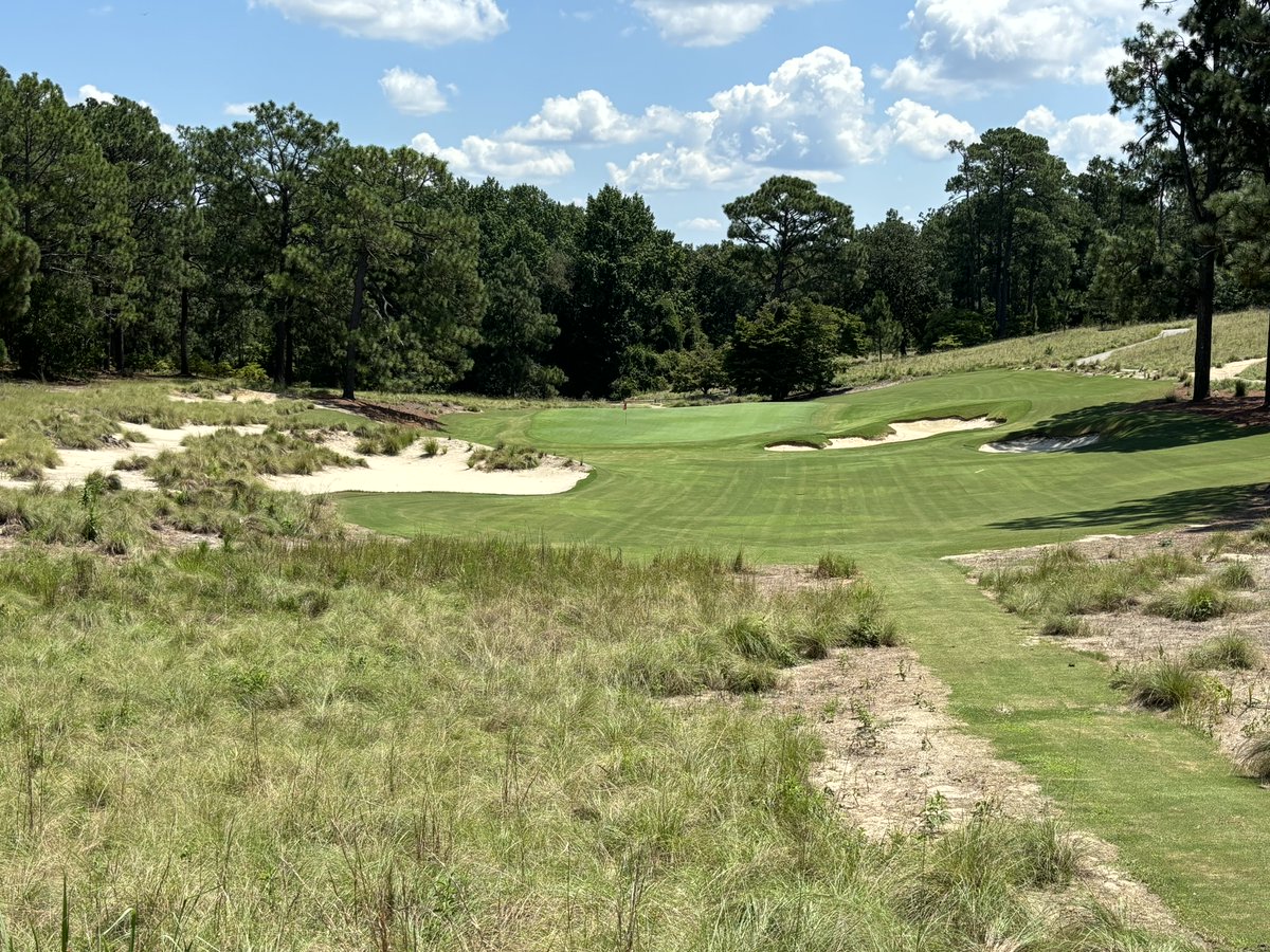 Design On Par tweet media