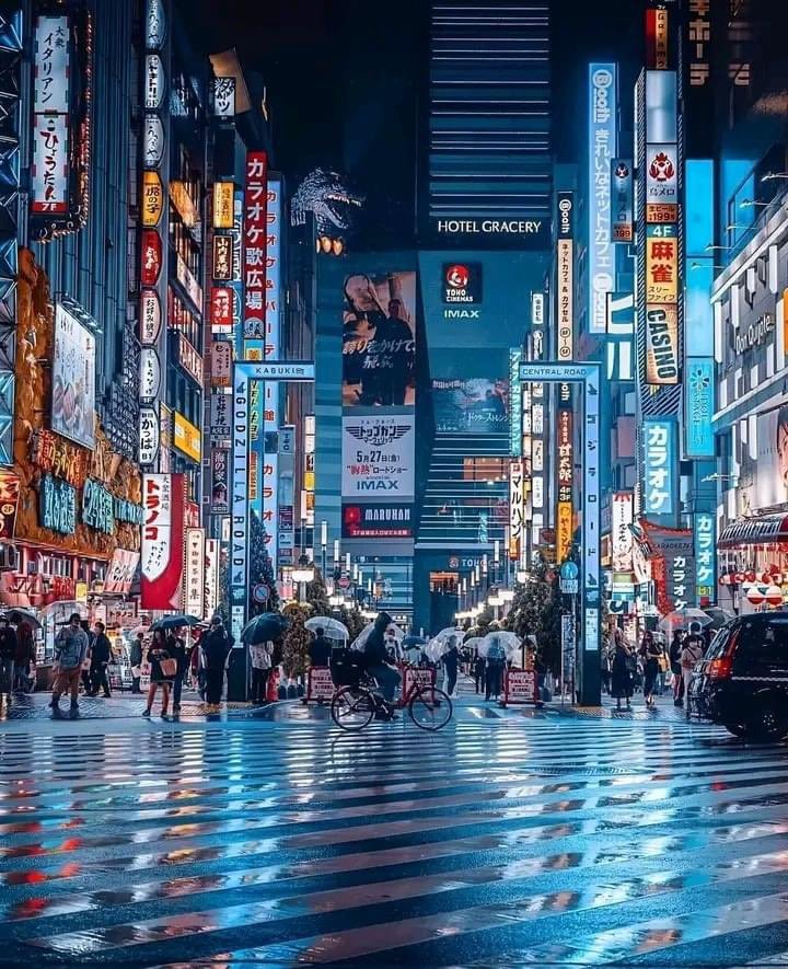 AbsurdAnticsHQ's tweet photo. Shinjuku, Tokyo 🌃 Japan!🇯🇵 https://t.co/T87v34qReN