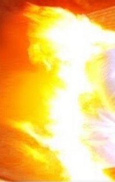 Prison Slavery: #WeAreNotBeasts tweet media