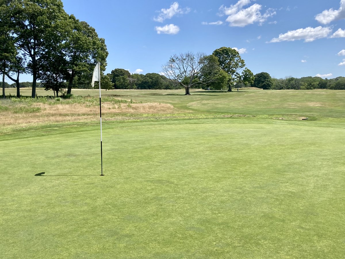 Design On Par tweet media