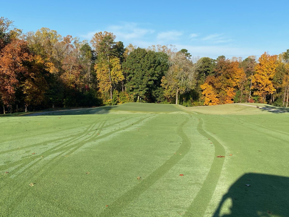 Design On Par tweet media