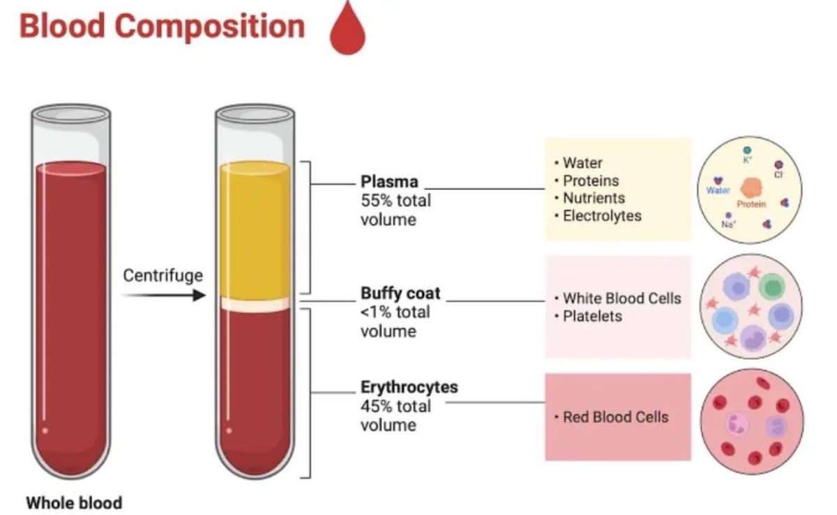 somaya_alz's tweet photo. كـبداية في مجال المختبرات الطبية🔬🥼:

🔺يجب تأسيس العقل بالمعلومات الأساسية لِـتسهيل الاستجابة و تحفيز التفكير التحليلي خلال العمل بالمختبر..

مجالك هنا🔬 ابداً بالأساس 🫱🏻‍🫲🏽 https://t.co/E4fThNjy3v