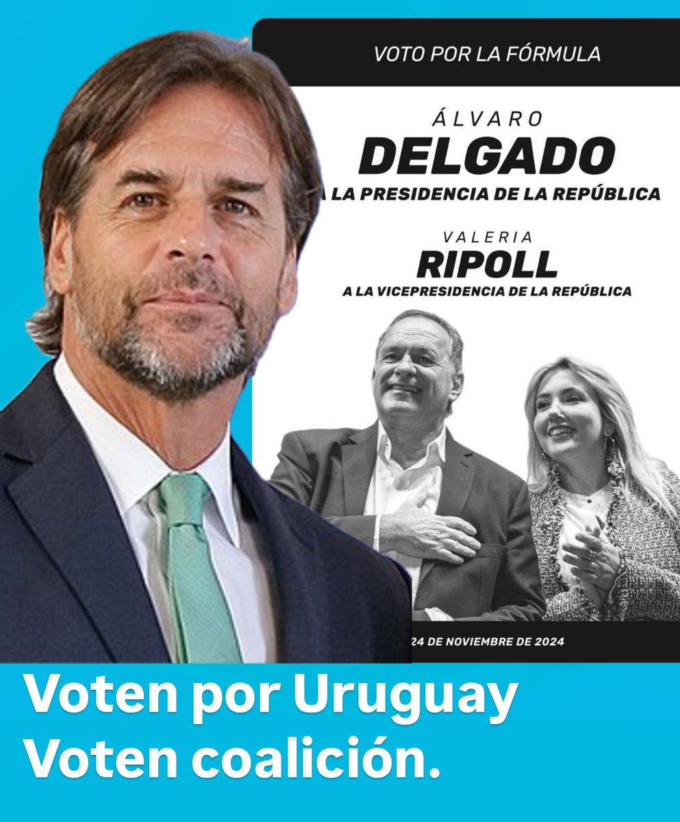 El Bagual bolso tweet media