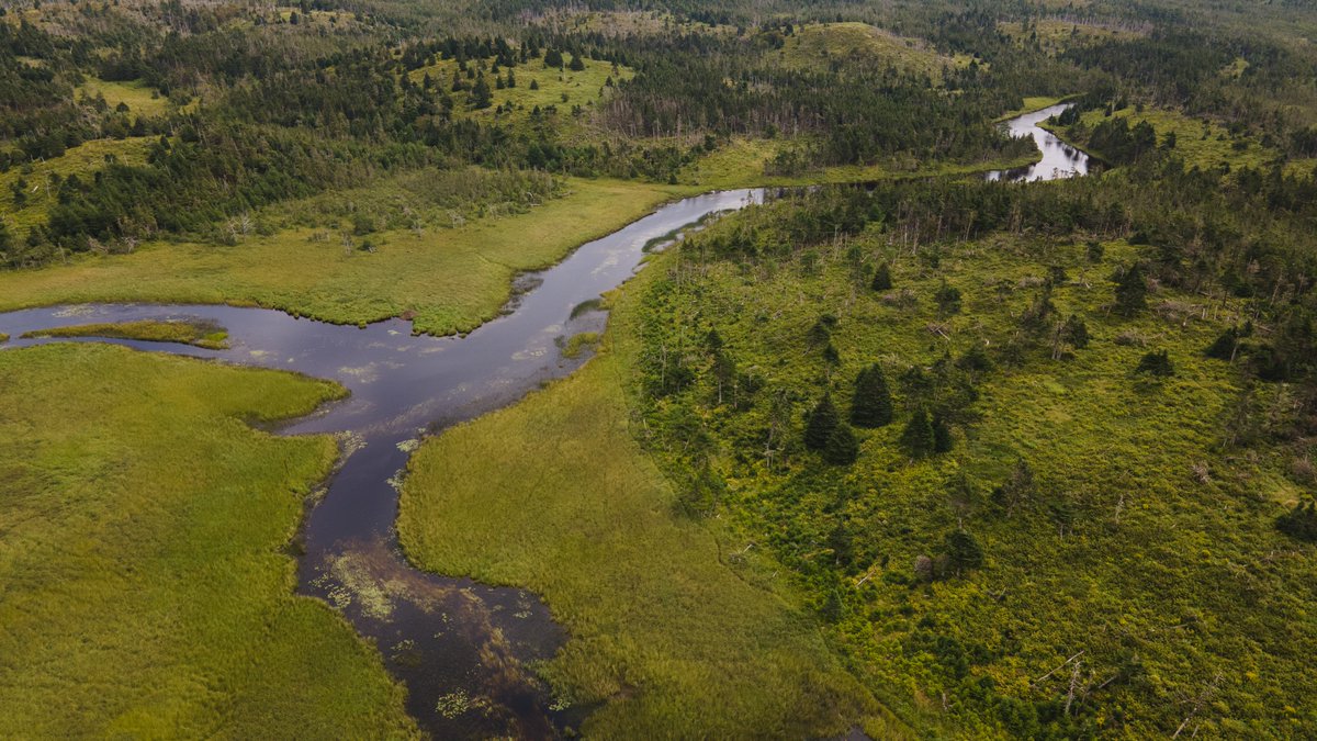 Join us in Whitbourne at Whitbourne Elementary School on Sunday, November 24, 2024 and in Colinet at the Fred and Fergus Linehan Heritage Centre on Monday, November 25, 2024 from 2:00pm – 7:00pm to discuss protection of Halls Gullies and Ripple Pond. Visit engageNL.ca
