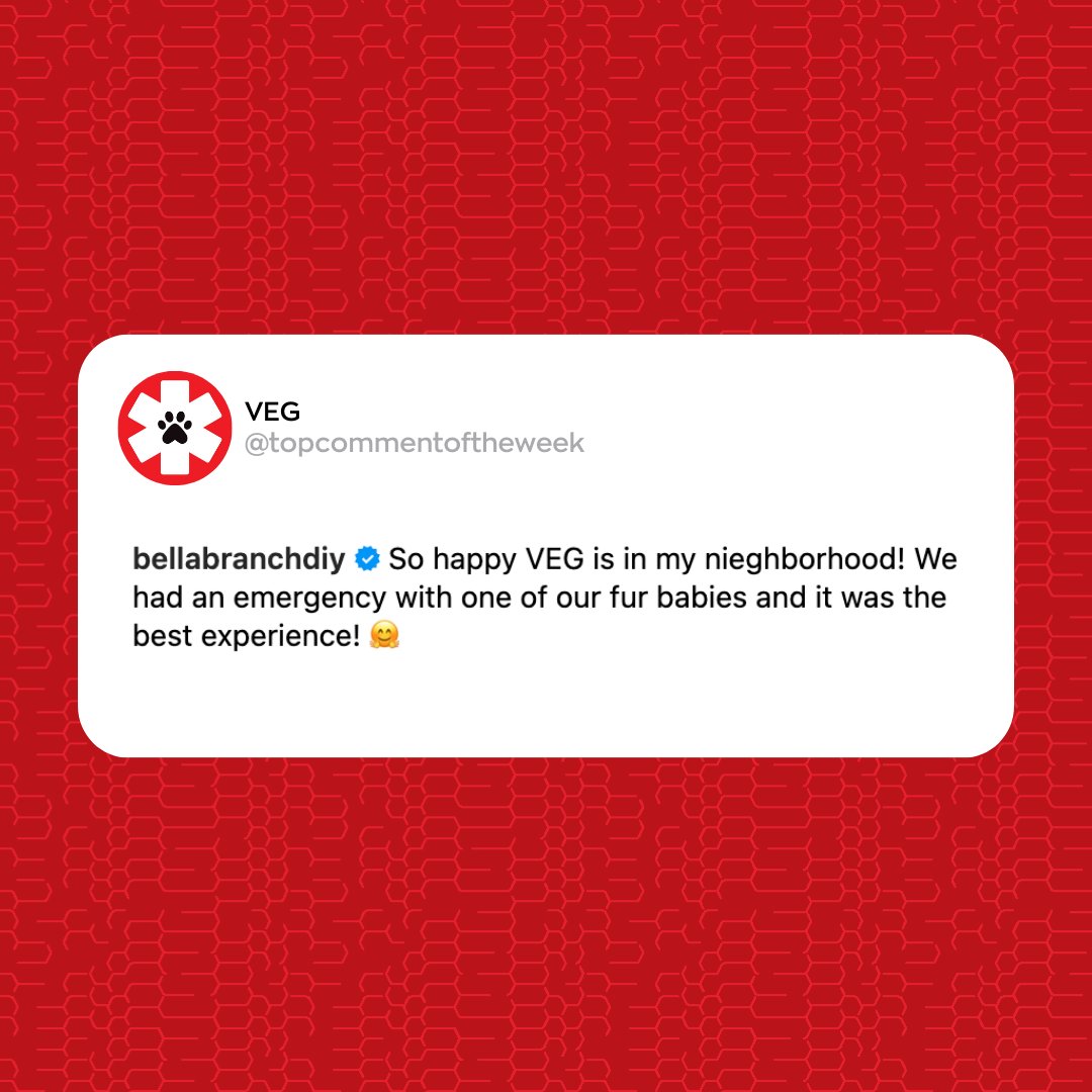 VEGERforpets's tweet image. @bellabranchdiy Taking a little stress out of a scary situation is what we&apos;re all about! We&apos;re here for you and your fur babies any time. ❤️

Are we in your neighborhood? Give your home VEG a shoutout! 🚀

#VEGcommunity #VEGolution #pethospital