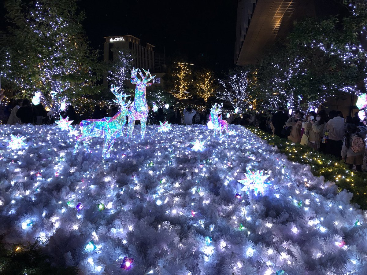 eri_shiga's tweet photo. 名古屋駅周辺です✨🎄🪅 https://t.co/8bsotql7kS
