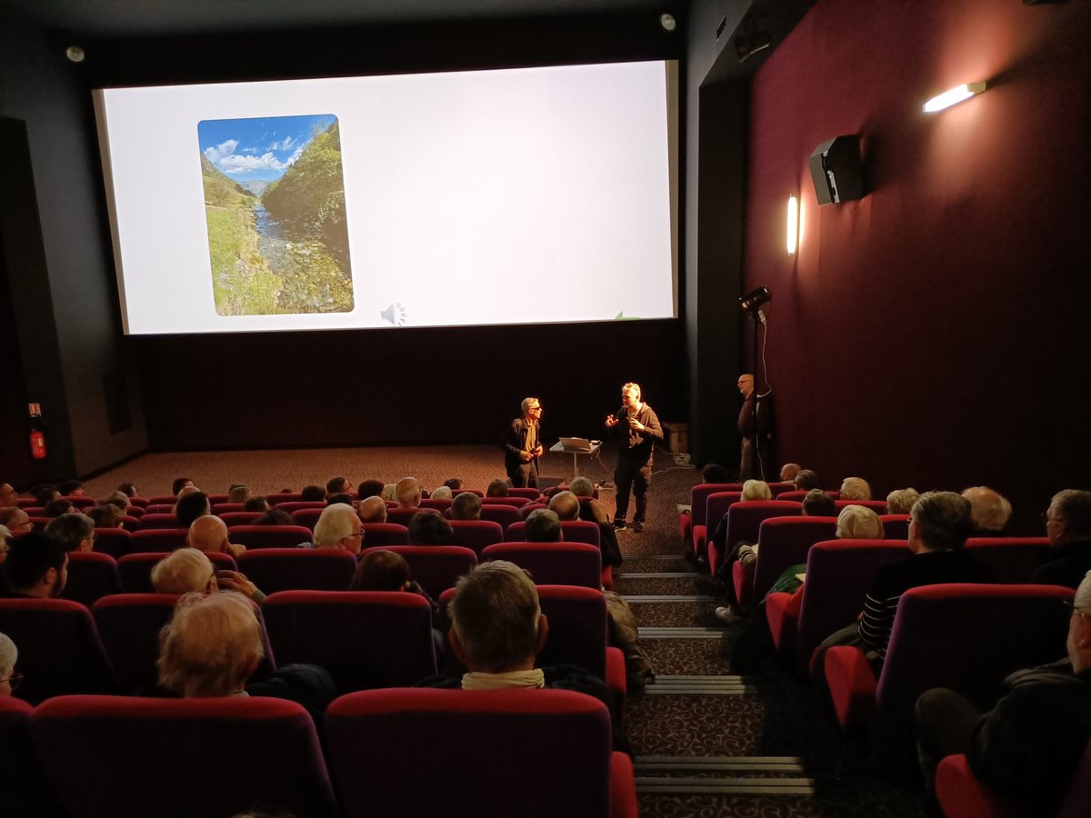 ImHorPhen tweet media