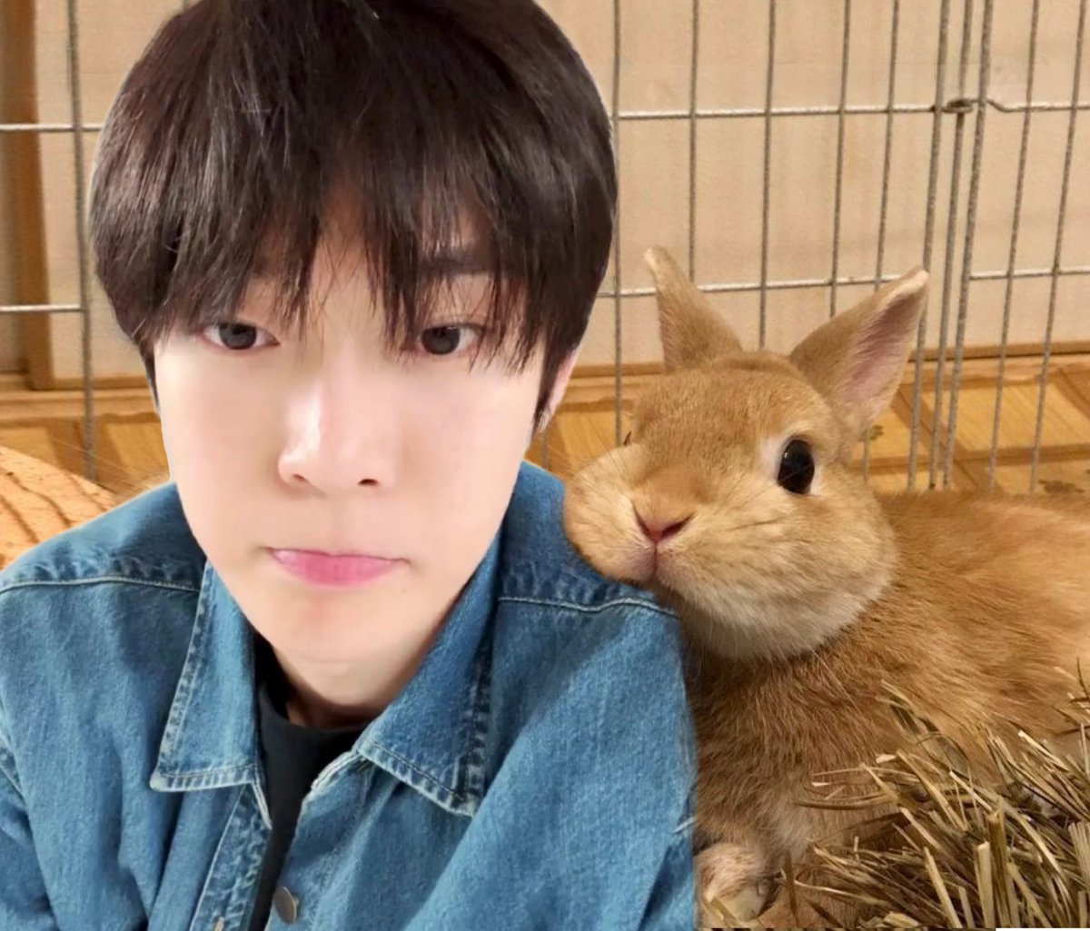 dkrldo0's tweet photo. 둘이 닮았다 https://t.co/Z7tGl08uMb