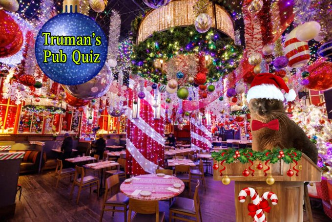 Is everyone having fun at #AnipalHB?
I will be doing 3 holiday-themed pub quizzes at the bazaar today!
Times are 12 pm, 2 pm, and 7 pm EST.
You'll be DMing me to answer questions so make sure we are following each other!
I will have a snow globe for you, too!