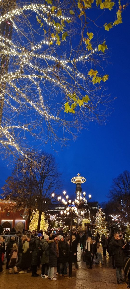 zrgkza's tweet photo. #tivoli #gløgg #kuryraKysuce #kuryrfoti https://t.co/kO37L58uRE