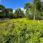 Photo by BC Upper Thames (@UpperThamesBC)