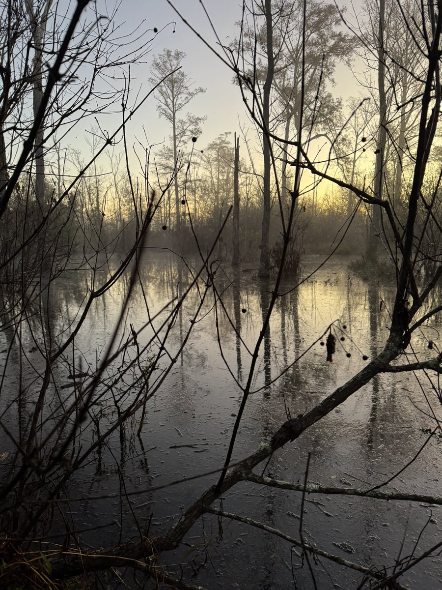 Decent start to 24/25 season