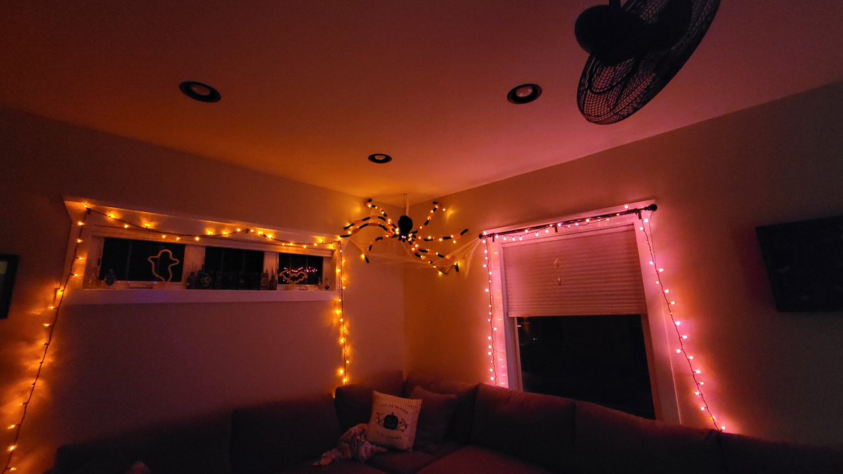 Out spider we named Sid came down this week. See you next year