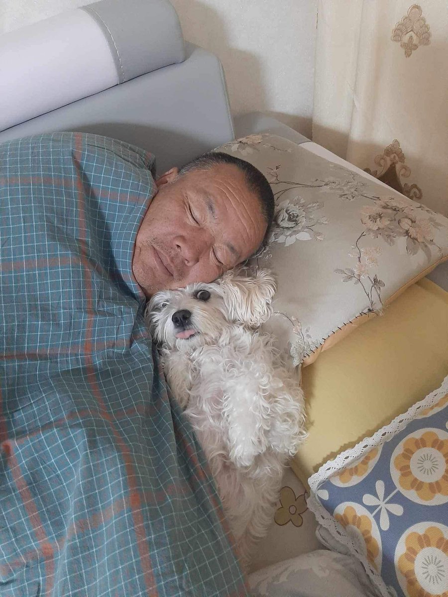 4 жилийн өмнө азтай савраас үрчилж авсан сэгсгэр маань гэр бүлийнхээ амийг аврав. Шөнө нохой маань гарах гээд гаслаад байхаар нь аав сэрээд аваад гарч гэнэ. Буцаад орох гэсэн гэртээ ерөөсөө ордоггүй, гаслаад. Тэгсэн гэрт байсан ээж маань таталт өгч, угаартаж байгаагаа бүгд