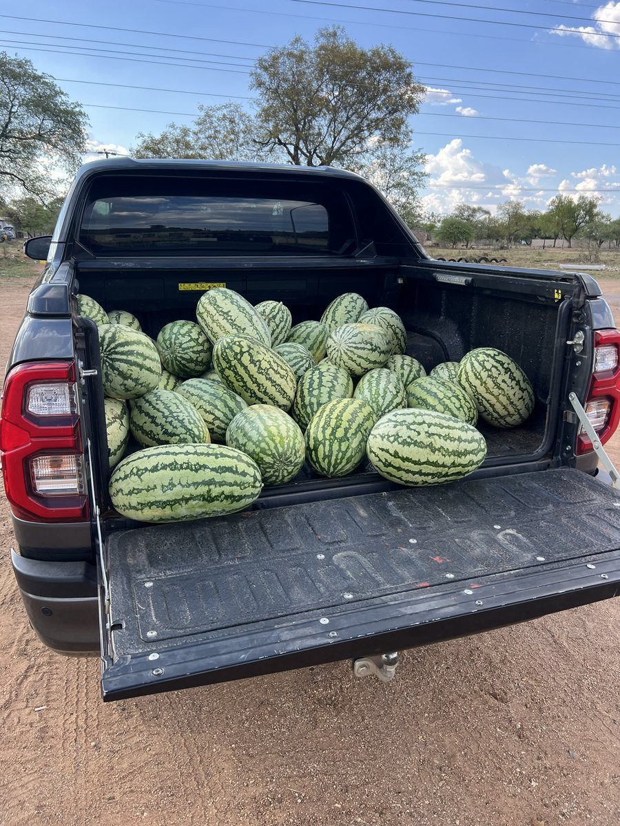 Frame 1. How it began. 
Frame 2.. as is right now. Jaaanong a setse a le kana… Ke kopa go cleara… 80 pula everything on the truck. Go setse large melons only. First come first served 

Block 8 on the back road. North towards Airport Junction. 

#MrOWaMagapu
