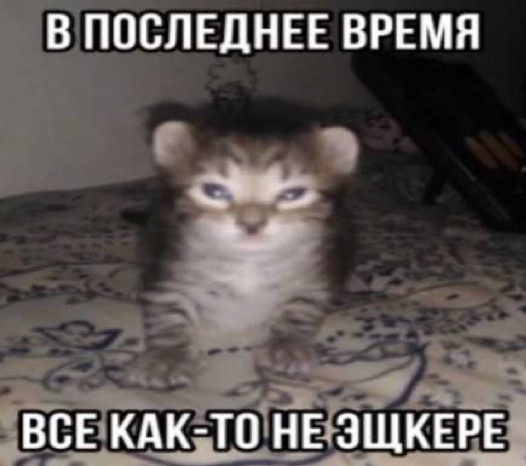 katis_i's tweet photo. @khomushaa надпись сама скинула они напечатали на обычной футболке https://t.co/2JR90VyMld