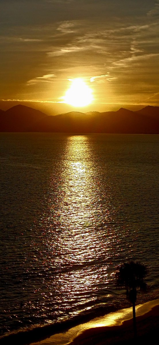 stregaincartata's tweet photo. Gold hour - Cannes
@Cannes_France @villecannes
#CannesSoleil #Cannes #sunset #goldhour https://t.co/PYhuxKVWWT