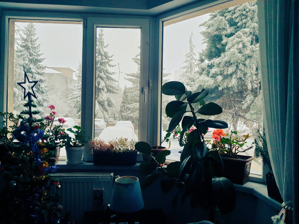 visnelikoru's tweet photo. En sevdiğim köşeye yeni yıl ruhu geldi 🌬️🎄 https://t.co/mzb73ZUaoD
