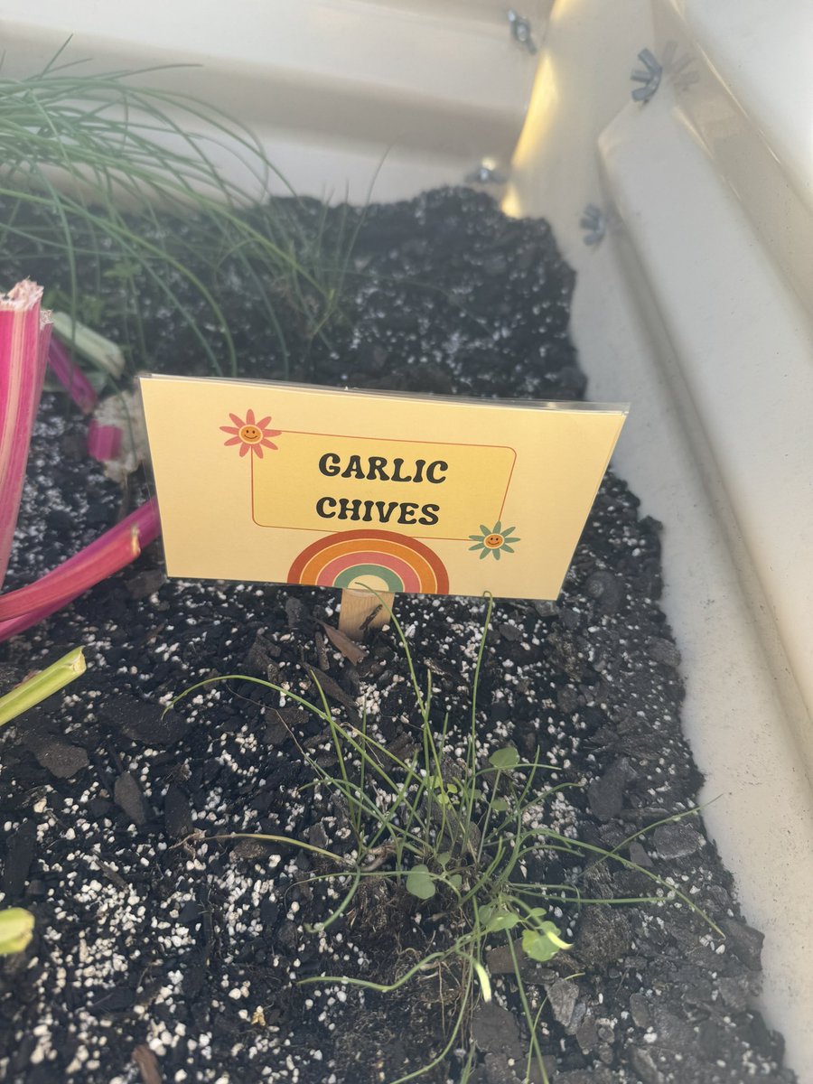 Lori Wilson tweet media