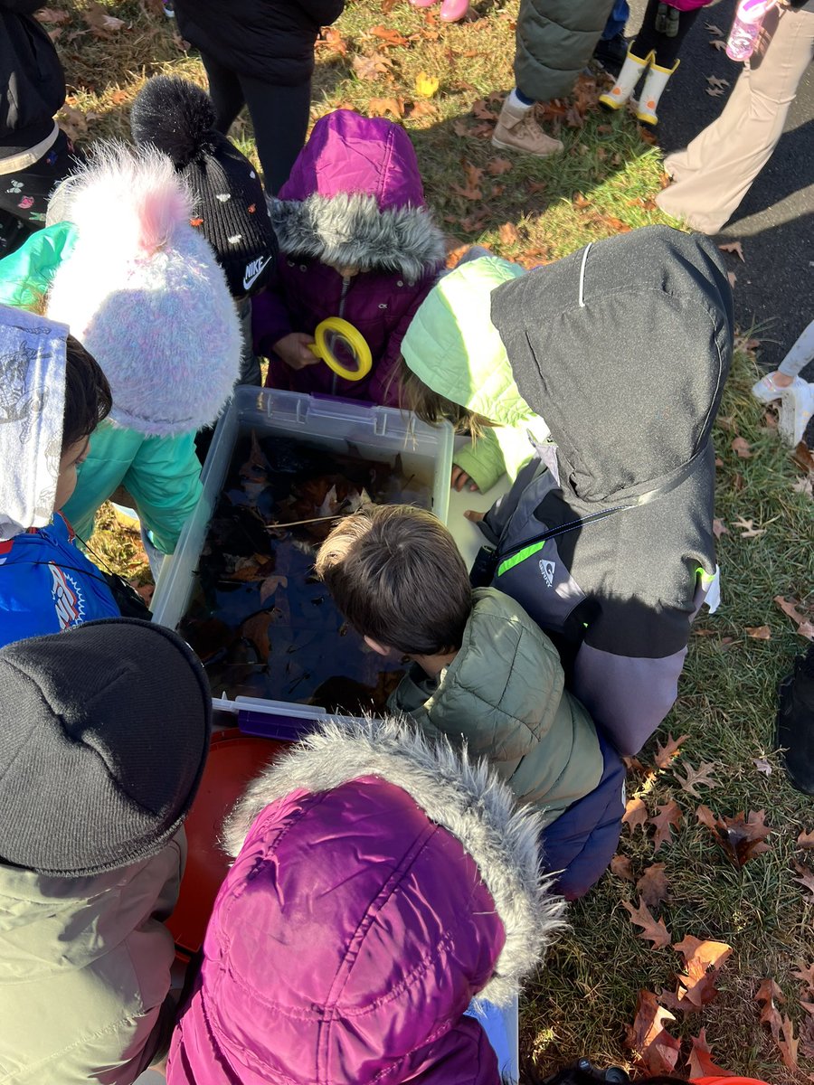 Michelle Liwacz tweet media