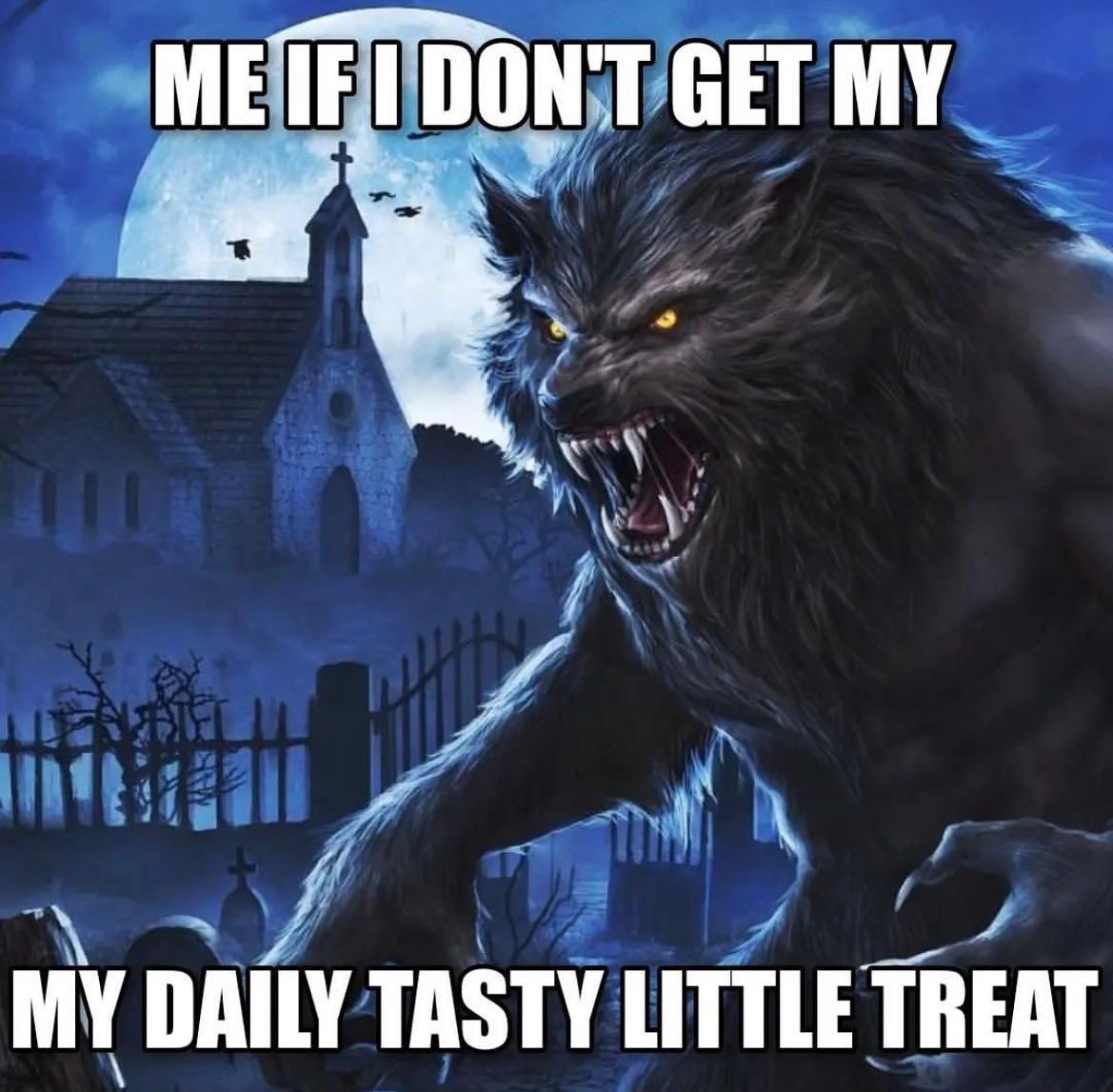 🕐HOURLY🕑 shitpost (@hourly_shitpost) on Twitter photo 