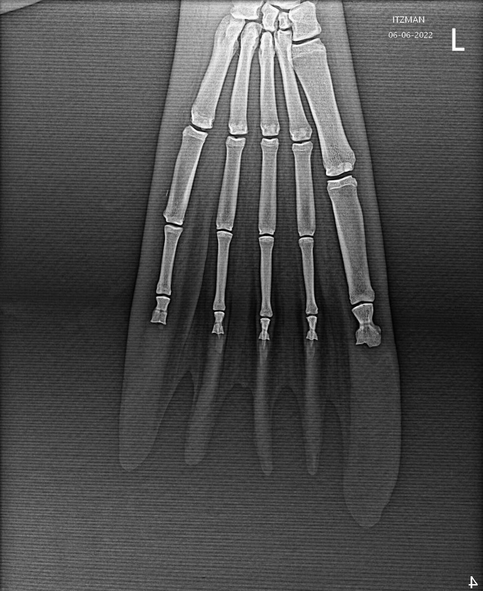 Dolphin Discovery tweet media