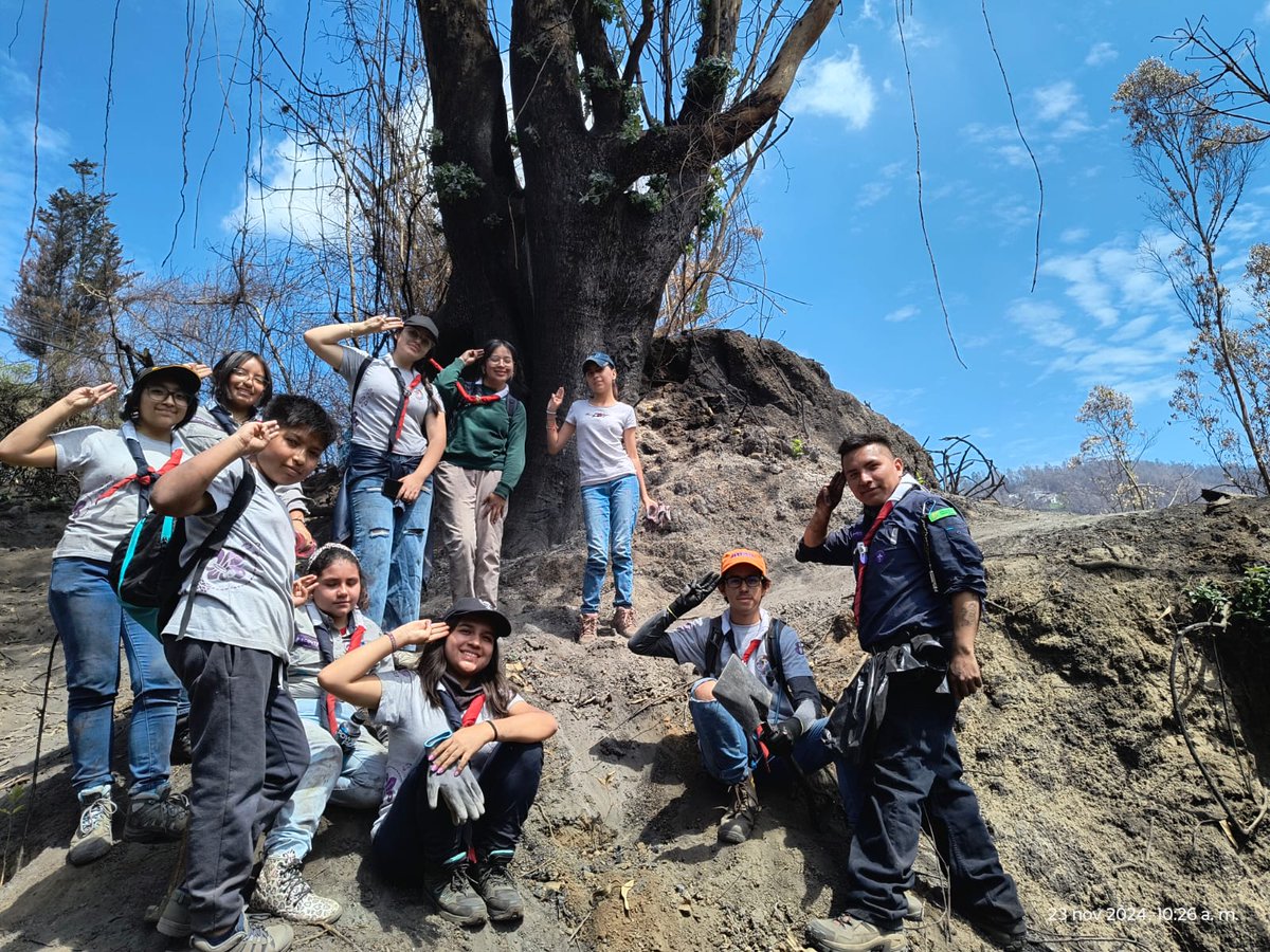 ambientequito's tweet photo. 🌳#QuitoMásVerdeQueNunca | En el Cerro Auqui, los vecinos y más voluntarios, plantan esperanza.

💚Cada árbol es un sueño que florece, una promesa de recuperar nuestro patrimonio natural.

Con tu apoyo, #QuitoRenace https://t.co/7AWgYUFBDu