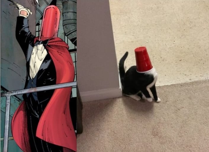 genuinamente ri disso