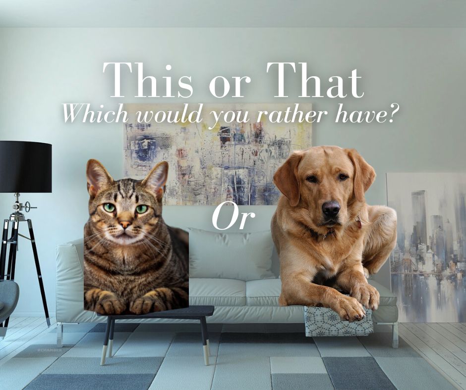 ChamberAurora's tweet photo. Which would you rather have? Dogs or Cats? And tell us why!
#Auroranebraska #Nebraska #Aurora #shoplocal #Aurorachamber #AuroraChamberofCommerce #Supportlocal #Chambers #shopsmall #Business #SupportLocalEveryday #Growyourbusiness #smallbusiness https://t.co/rscysFftwG