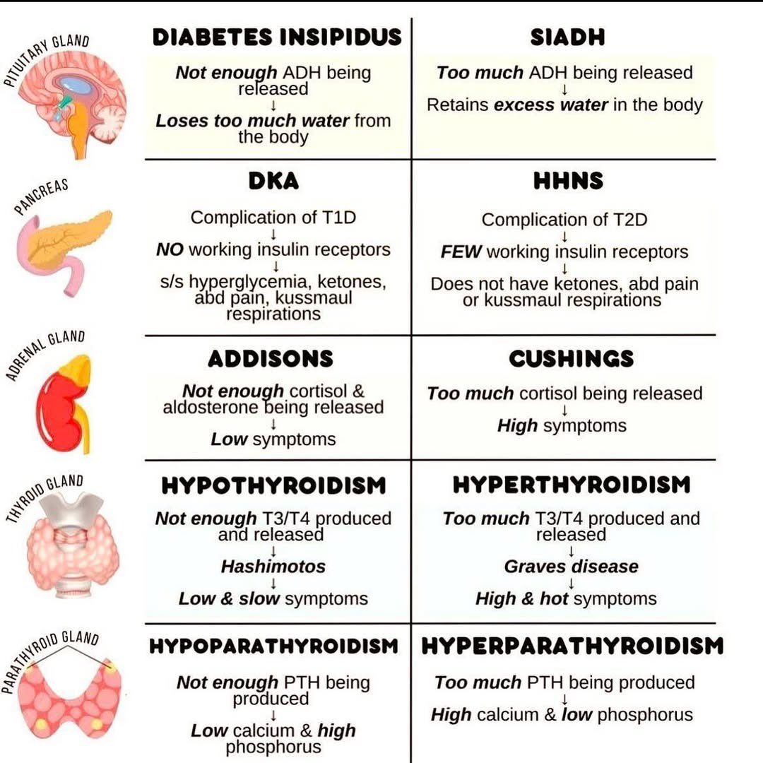 Doctors__squad's tweet image. Endocrinology disorders ✌️