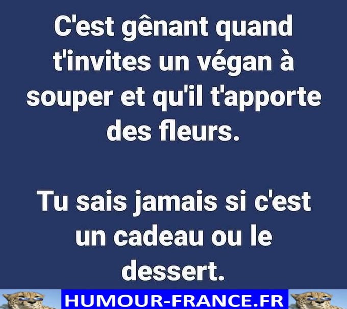 text alternatif
